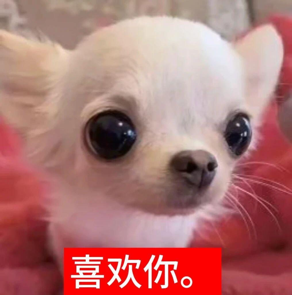 虞书欣[超话]  热搜发发原创安利 🔥 预热三周年了鱼丝们🫰 每个人都发！！