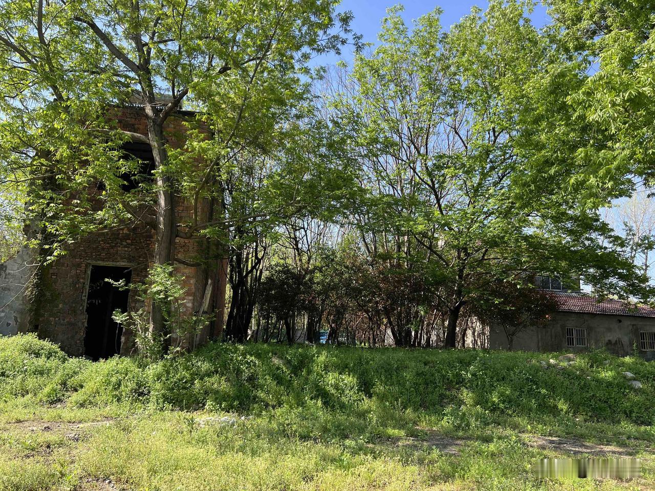 宜兴城南的西梅园，如今虽只剩一片瓦砾，不复当年盛景，却曾是远近闻名的赏梅胜地。早