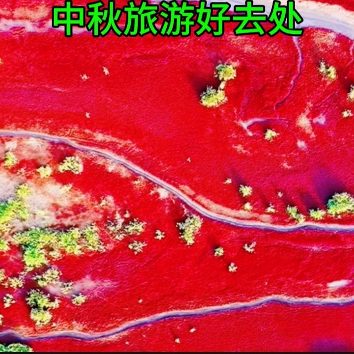 不过如果必须二选一，我倾向于在家团圆，家里有长辈、老人特别看重中秋，或平时聚少离