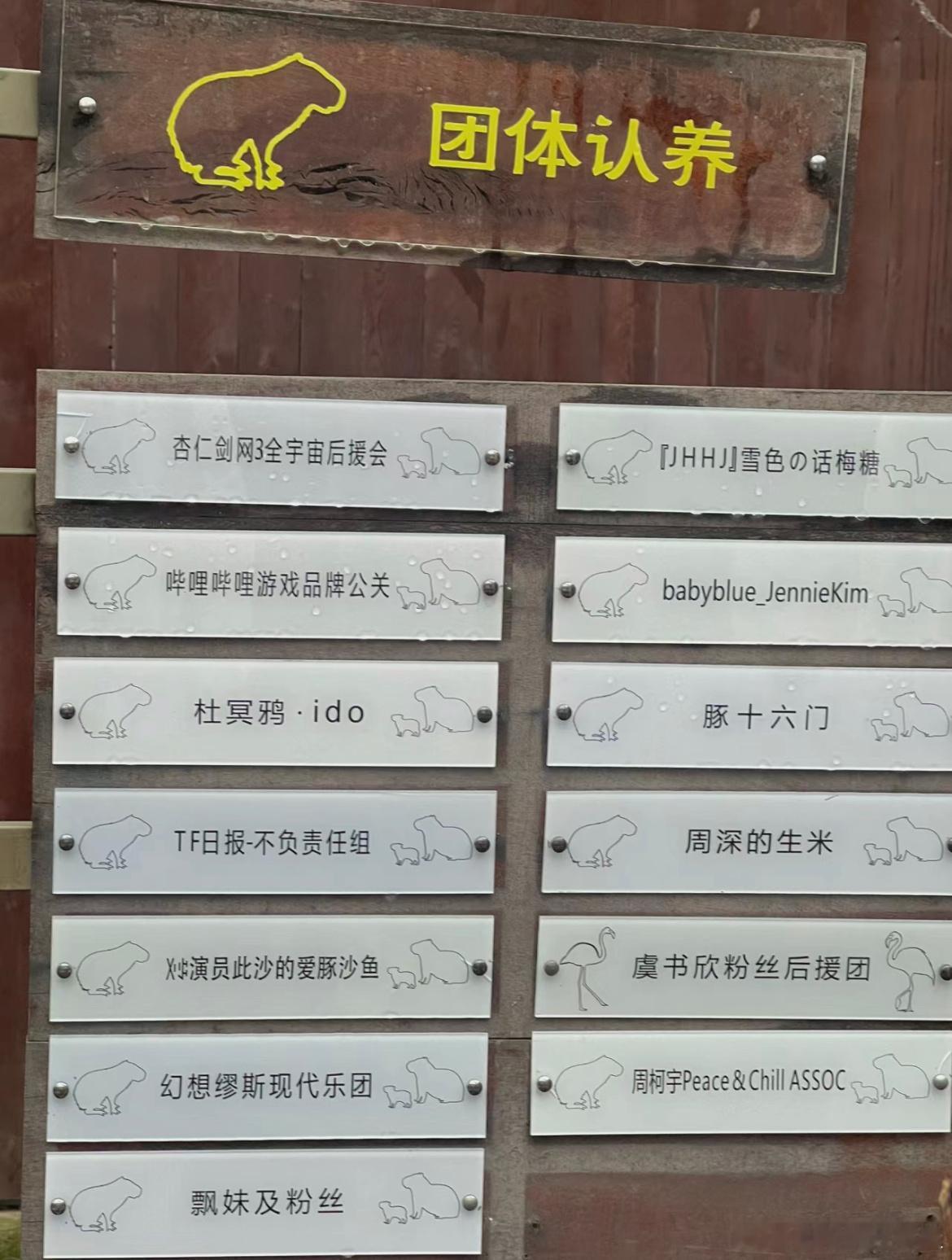 和红山动物园跨界合作的话…是不是有机会认养小动物[哇]期待认养榜上出现“全体痒痒
