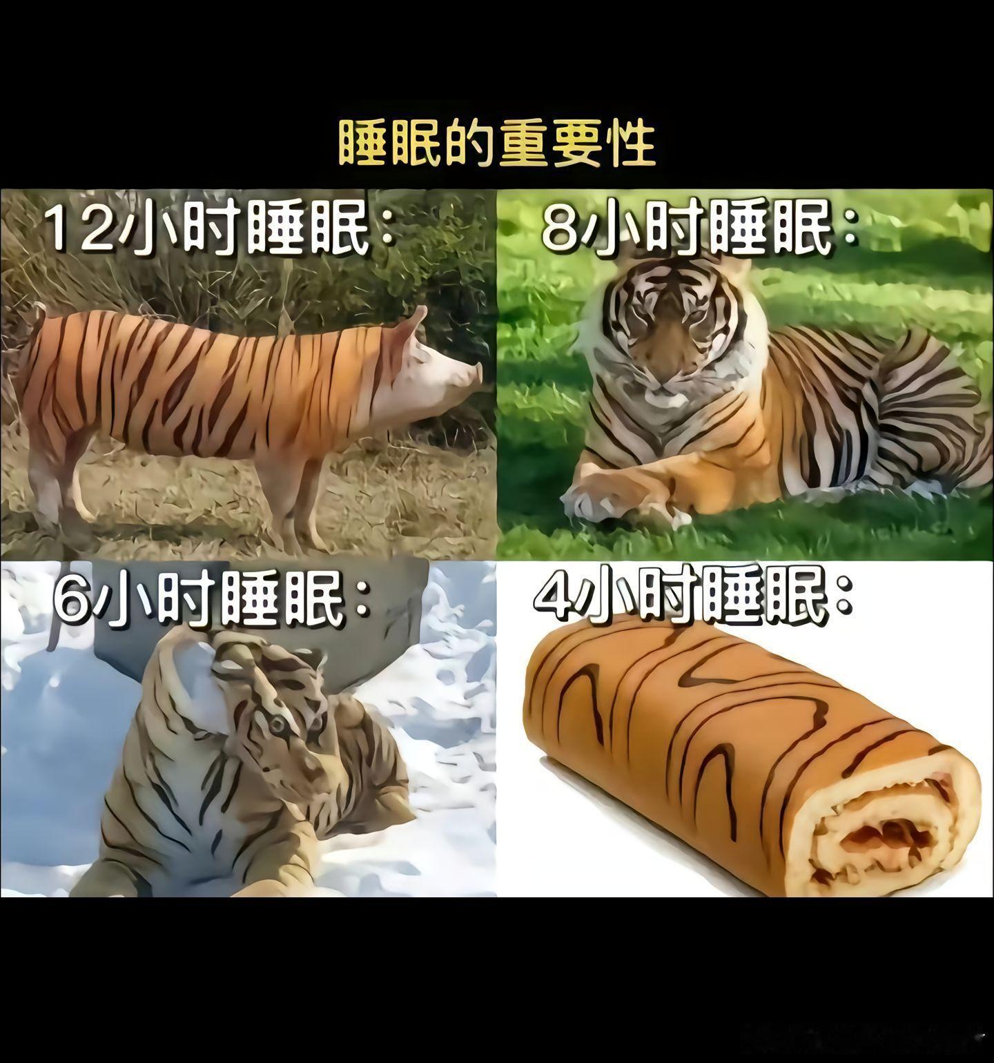 事实证明只睡四个小时可以变得香香软软惹人爱[柯基]7k7k 4399 ​​​
