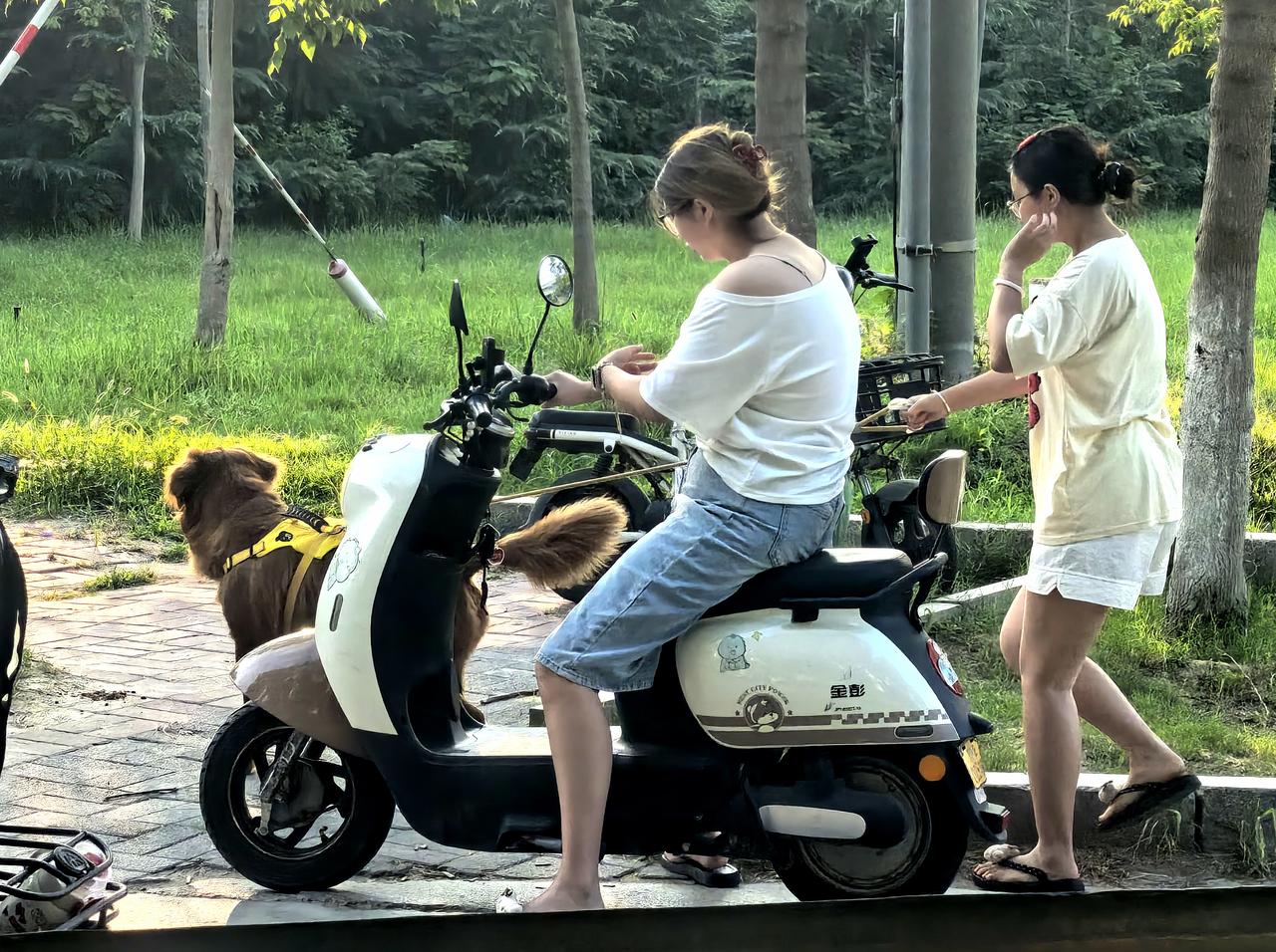 公园美景随拍