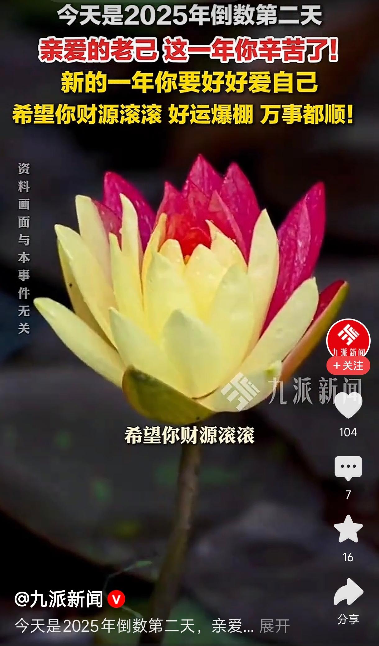 2025年倒数第二天 对自己说辛苦了
          这是一个充满正能量的自