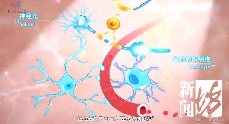 阿尔茨海默的“刹车”人类距离攻克阿尔茨海默病，又进一步。根据“新闻坊”，《科学》