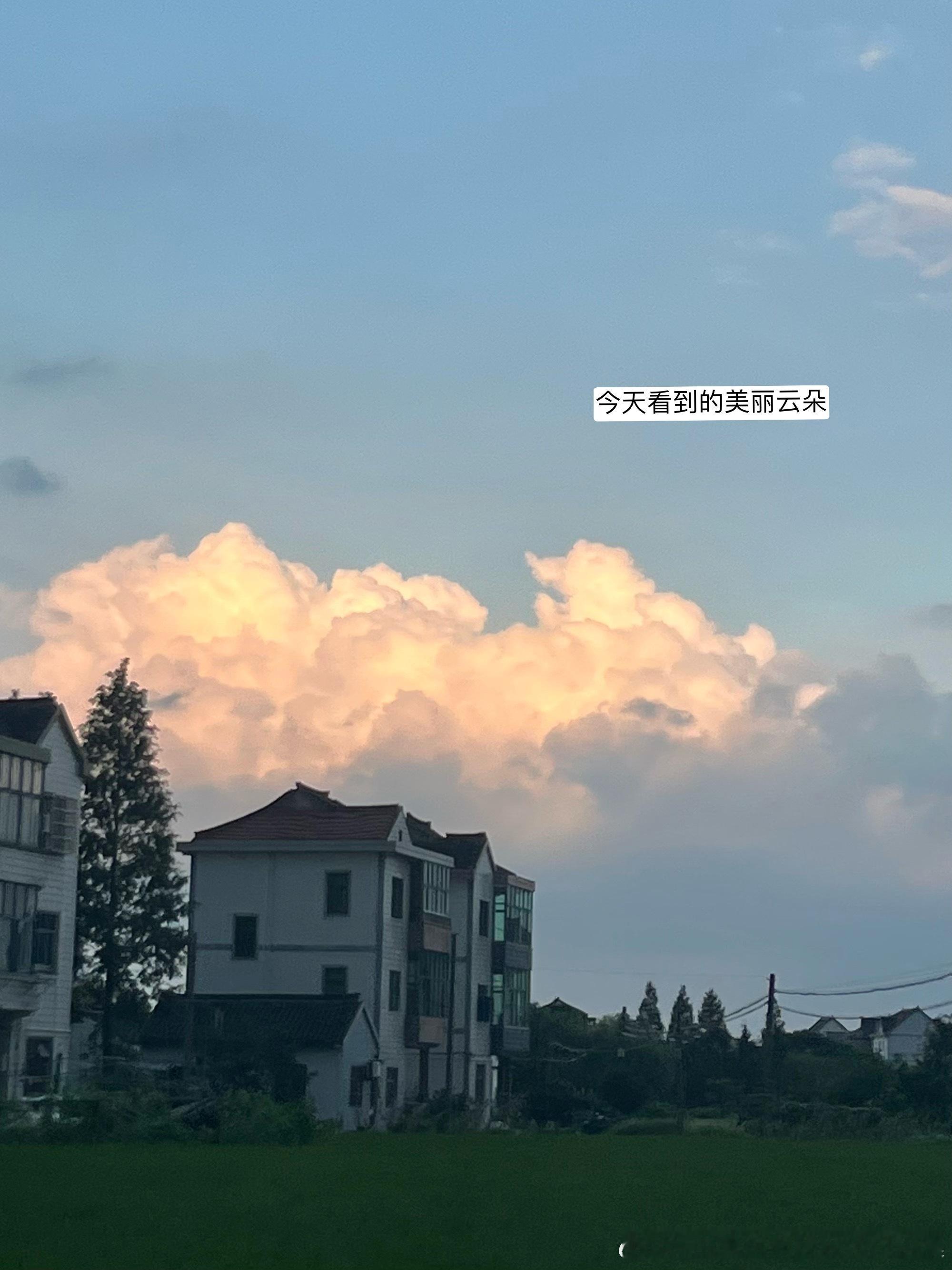 晚上去吃了夜市巨好吃的瘦肉丸回家发现cp1300坏掉了（顺便问问大家有没有其他好