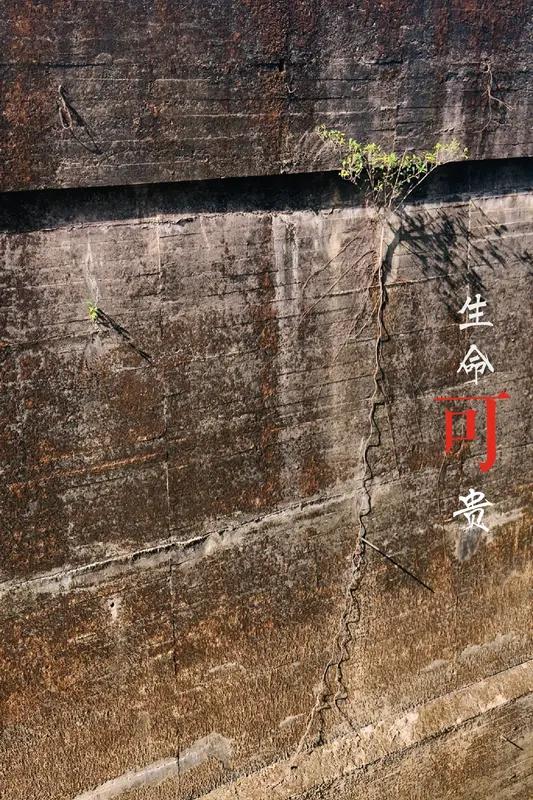 人真的有来生和下辈子吗？这问题科学家没给明确答案。从哲学讲，有人觉得生命轮回是种