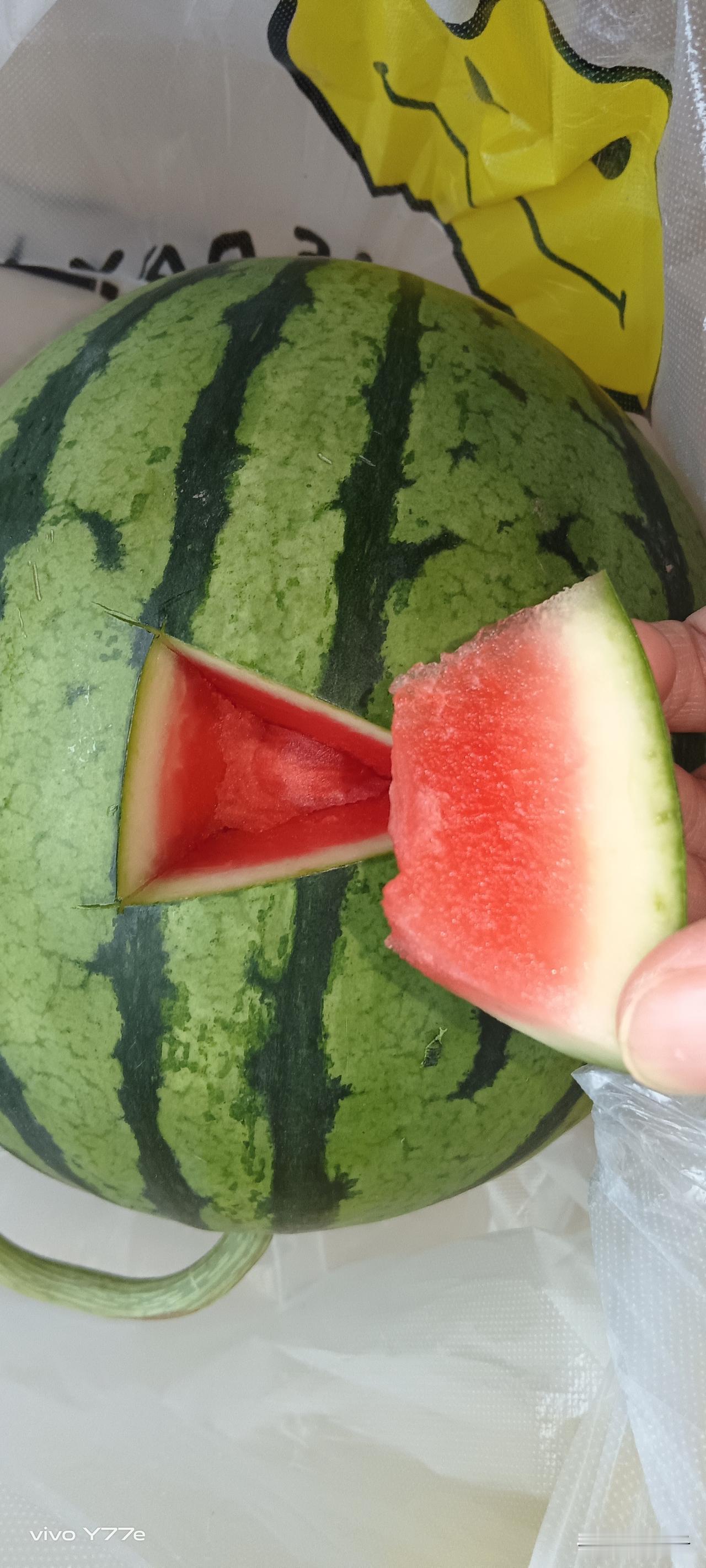 今年买的头一个西瓜。经济不景气，平时连水果都买的少了。妈妈总念叨，过日子就得精打