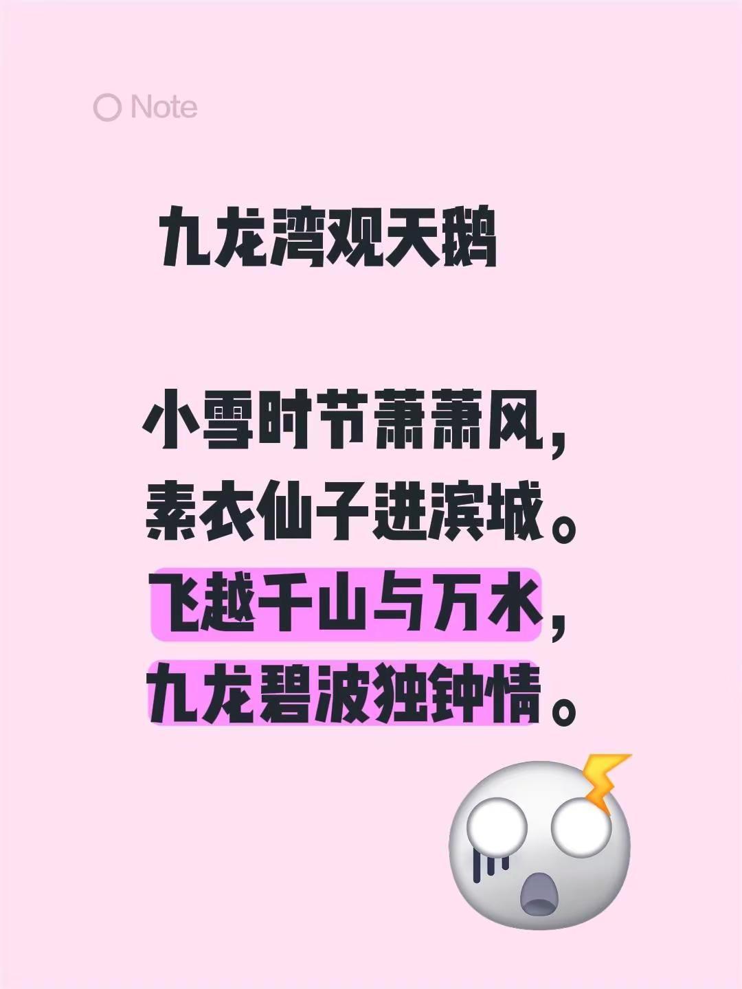 九龙湾观天鹅小雪时节萧萧风，素衣仙子进滨城。飞越千山与万水，九龙碧波独钟情。