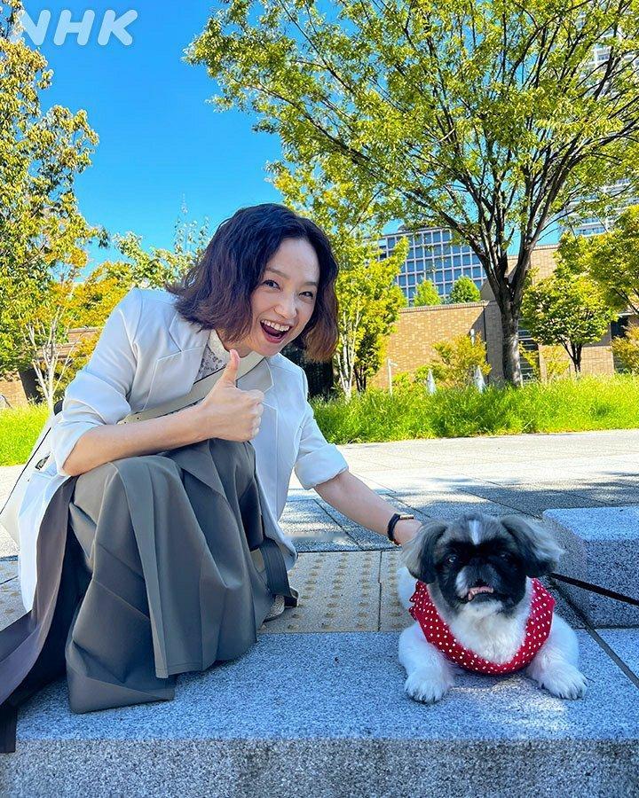 日娱新闻  莲佛美沙子  日剧《香草的每天》以及莲佛美沙子、永作博美相关美图 