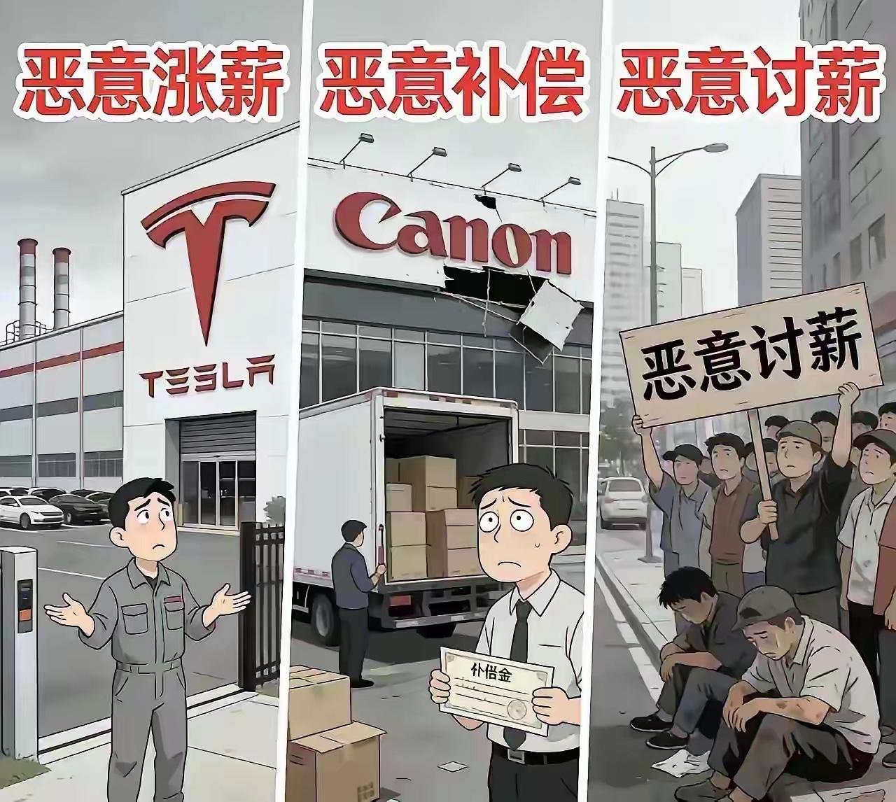专家说一旦放开生育，就会迎来报复性生育。人口将会报复性增长，一旦放开风控，就会迎