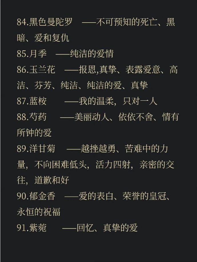 100种花的花语 