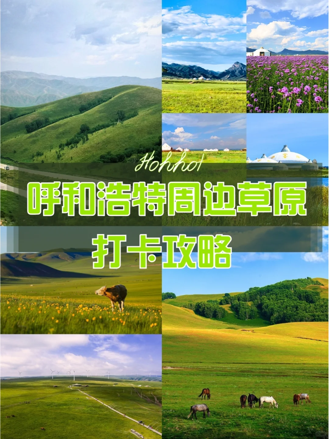 呼和浩特周边的草原🖼️|你了解几个❓