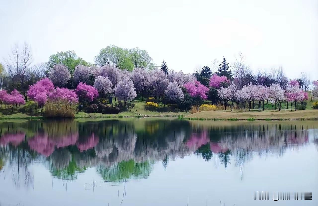 老辈人眼里的人性：懂人性很重要！
“三贼”：坐中静，破焦虑之贼；舍中得，破欲望之