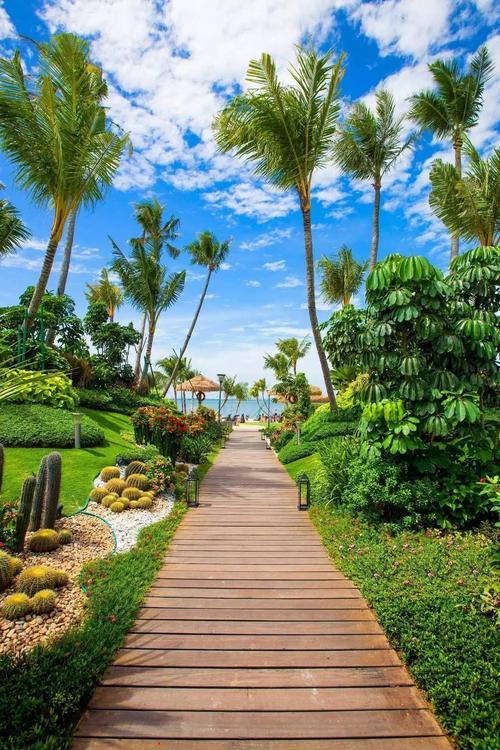 广西那边种甘蔗的，每年到收获季节都缺人手，很多老板习惯找越南人过来帮忙砍收。活干