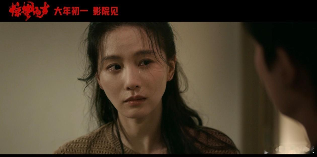 惊蛰无声太敢拍了 当看到《惊蛰无声》把歼35a资料泄露这种可能影响国家安全的真实