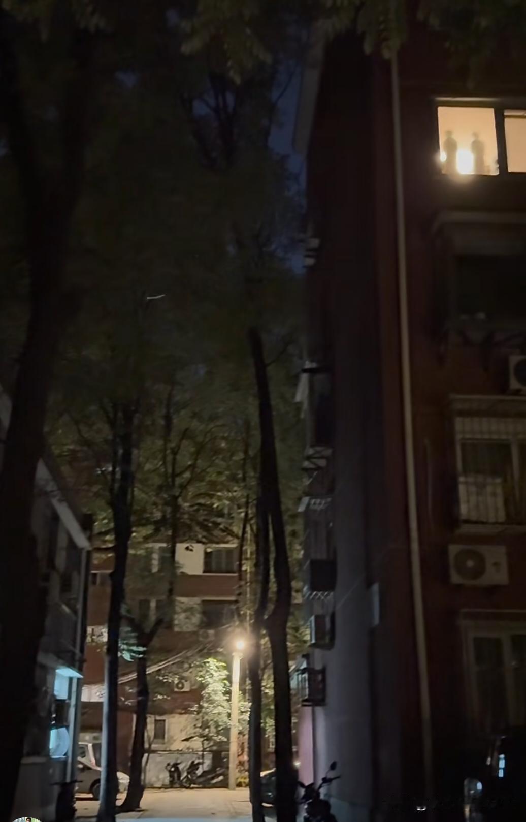 晚上1点钟回小区，看见这户窗台上的两个人影，这是什么东西？像洛阳博物馆里的胖妞