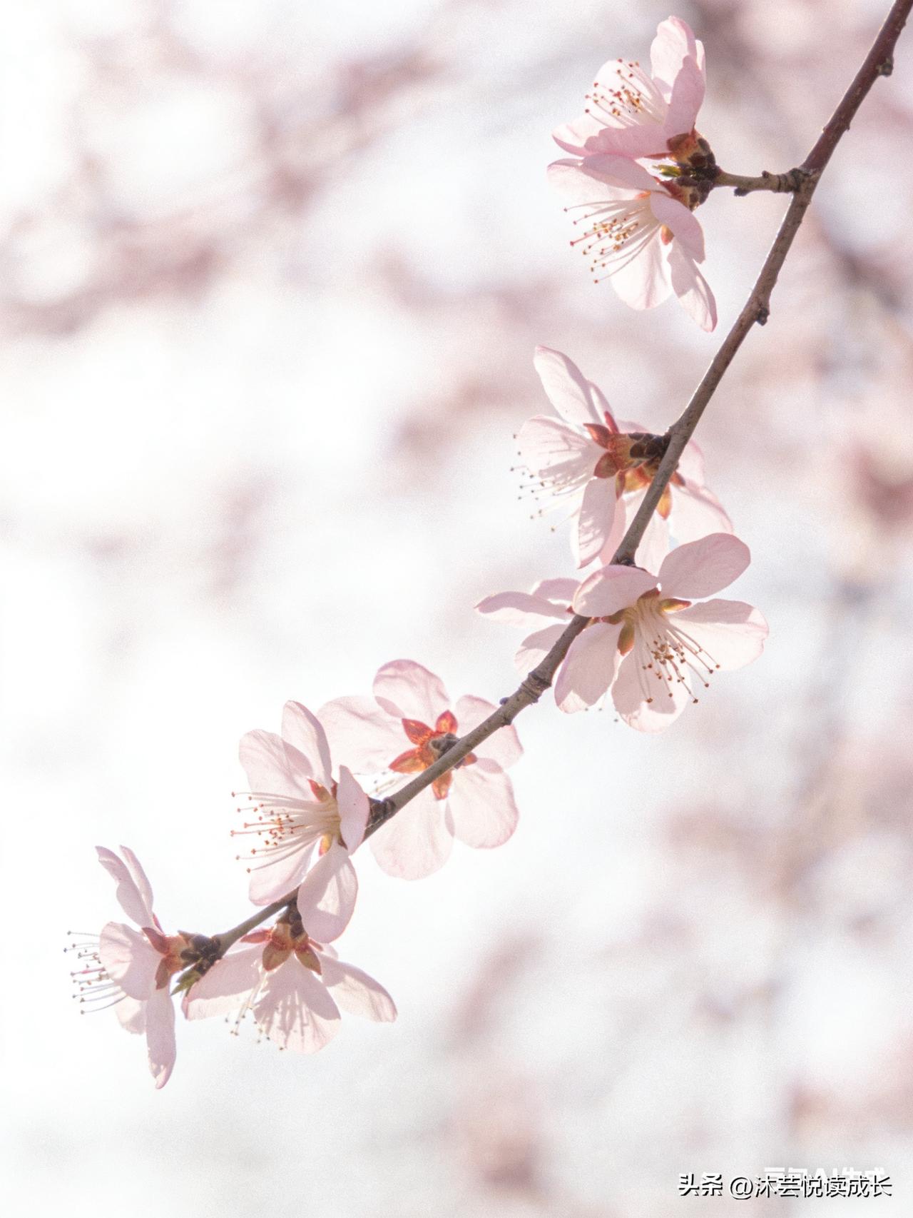 时钟需要停摆
人生也是
 
告别
案牍劳形
 
迎接
闲云野鹤
 
给从容的自己