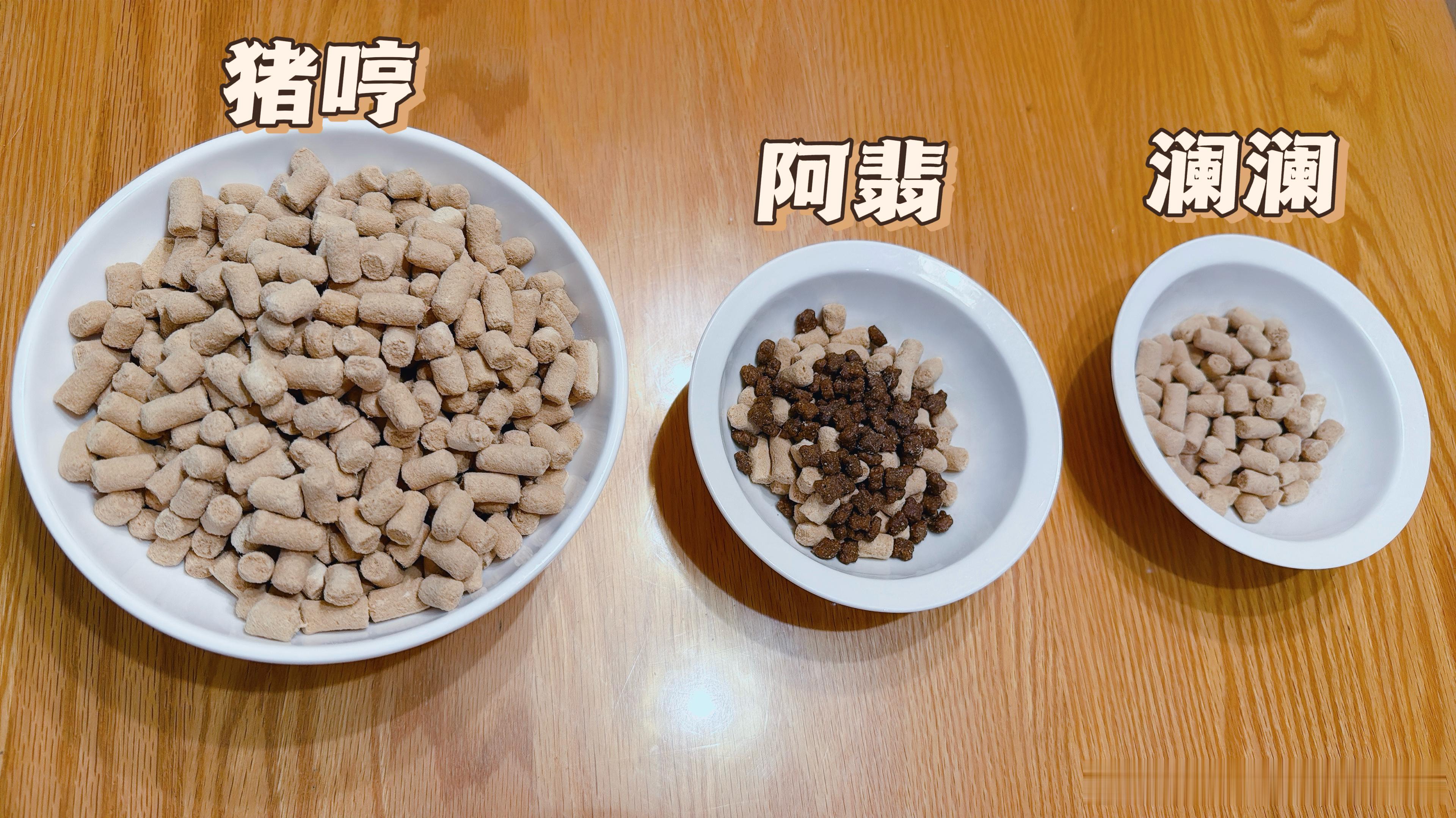 上次ee们说对猪哼这个碗的大小没概念。这次是不是一目了然。 ​​​