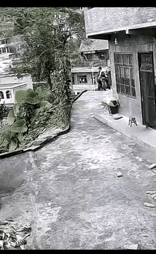 害人终害己！私建台阶不听邻居劝告，自家三轮车卡拐角翻车坠沟

女子在家门口的平台