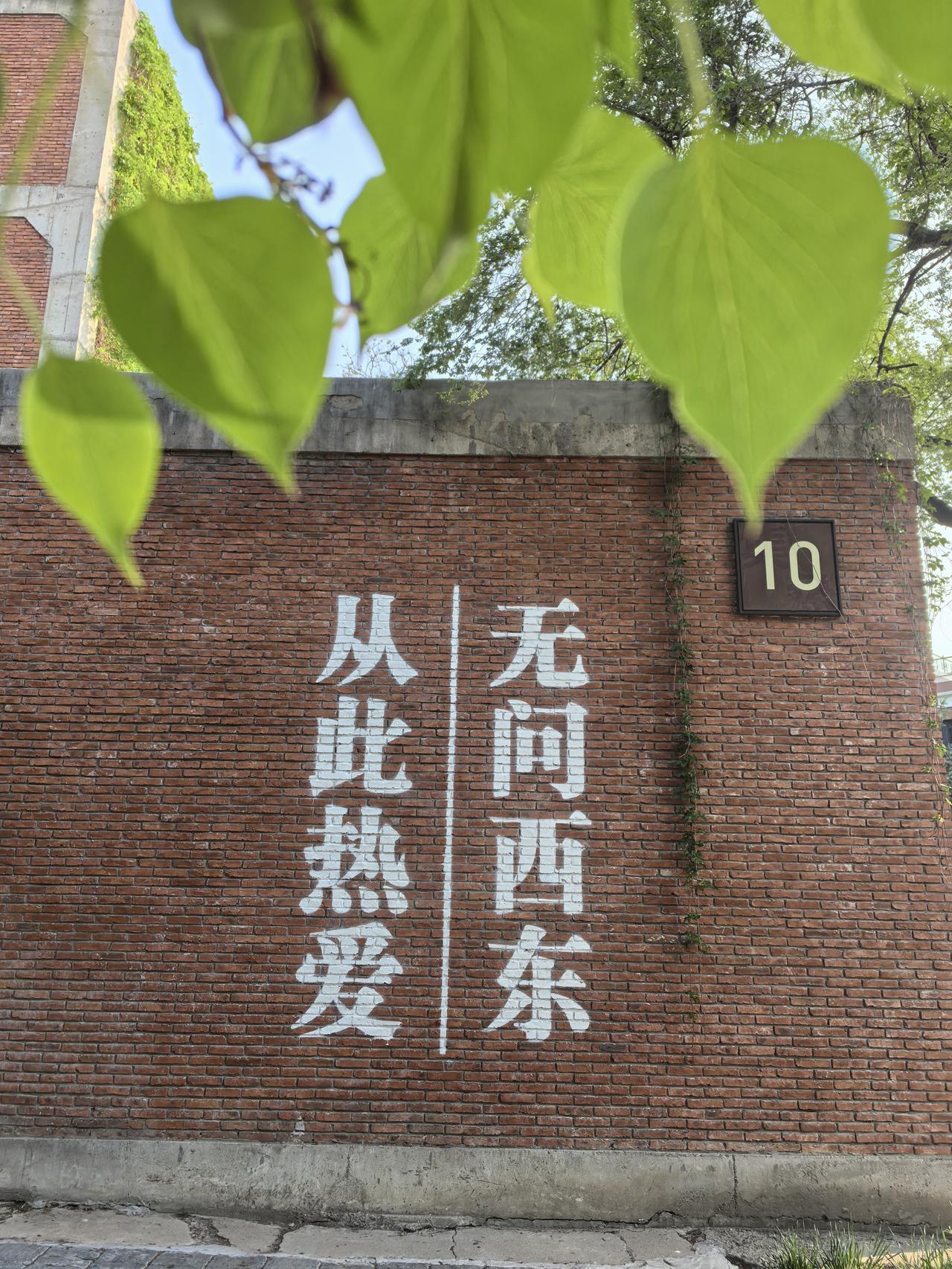 今天第一个微头条。

感冒定律还真是一周才好啊！

基本痊愈，不敢太放松，今天继