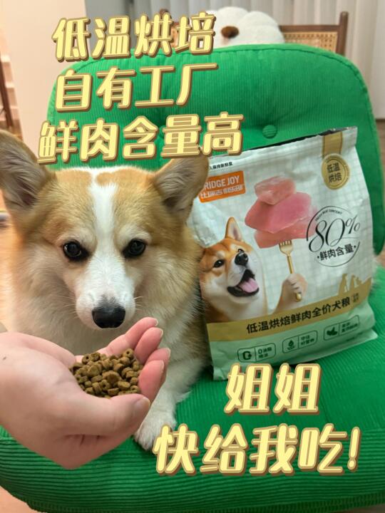 小狗不语，只是一味的干饭