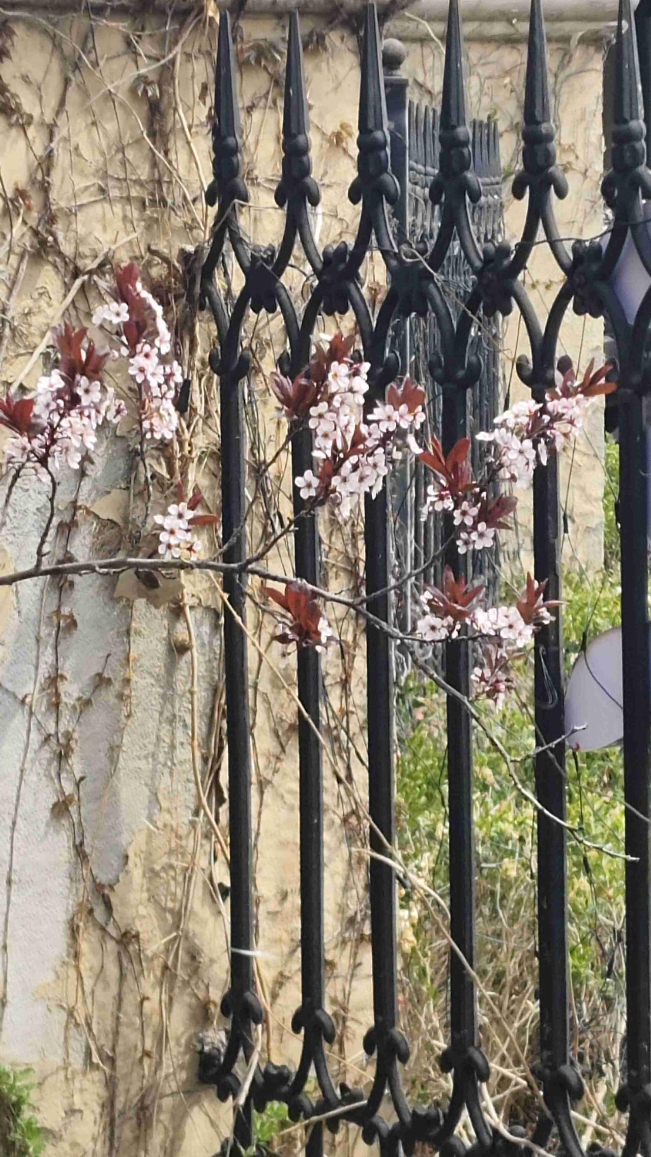 我的今日状态：🥲强颜欢笑
我这里的天气：🌤️多云
有时候不经意间，就把自己以