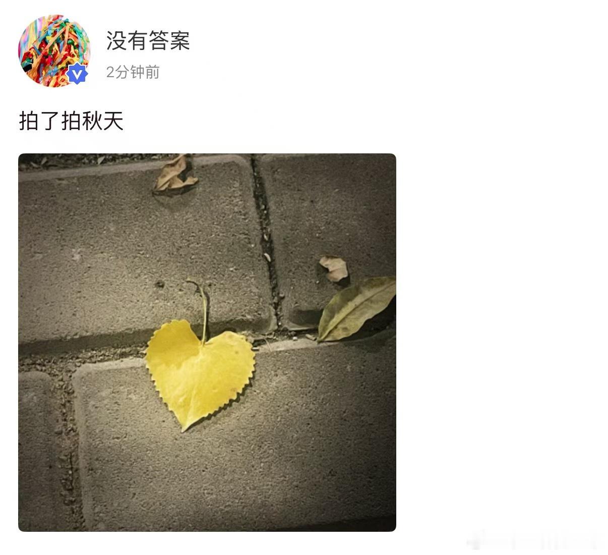 拍了拍秋天 ​​​