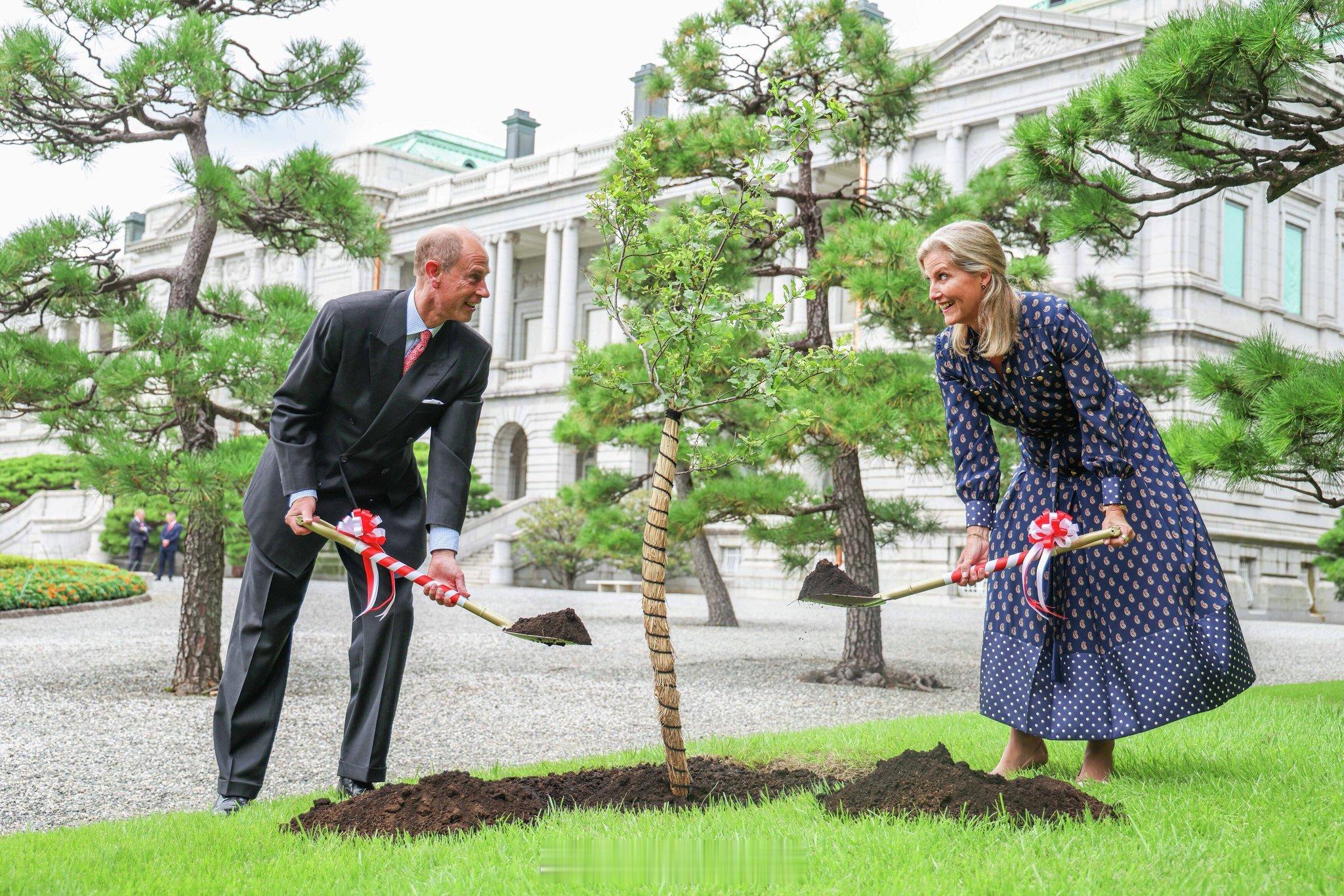 英国王室[超话]  今天爱丁堡公爵夫妇在日本东京种植一棵橡树🌳 ​​​