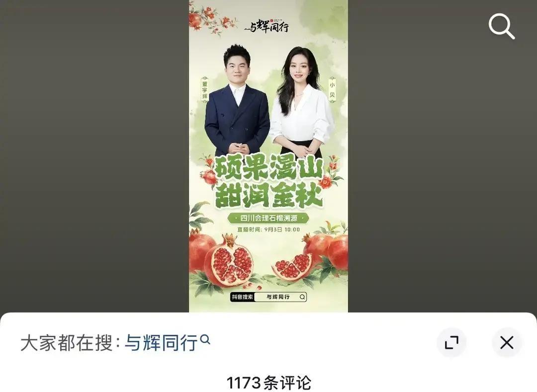 与辉同行发董宇辉和小贝溯源海报，有网人八卦的在评论区留言被网友批评了。

有人觉