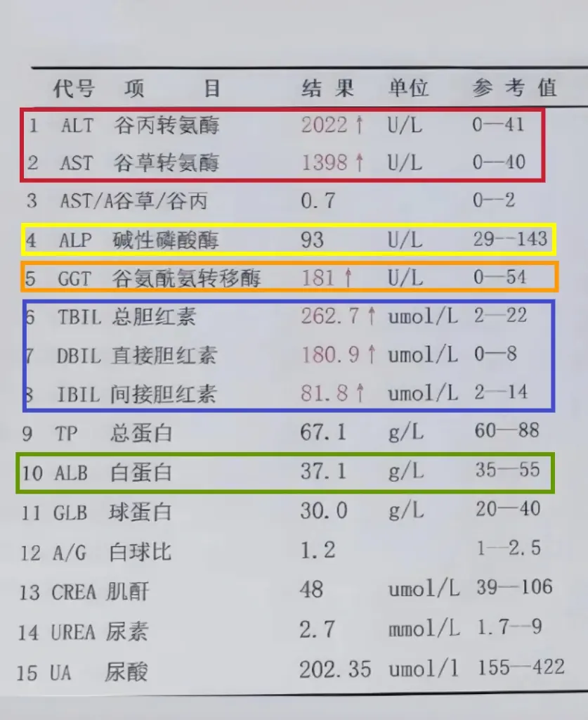 只要肝功能这5项指标达标，你就放宽心吧！1.转氨酶，当肝细胞出现损伤时...