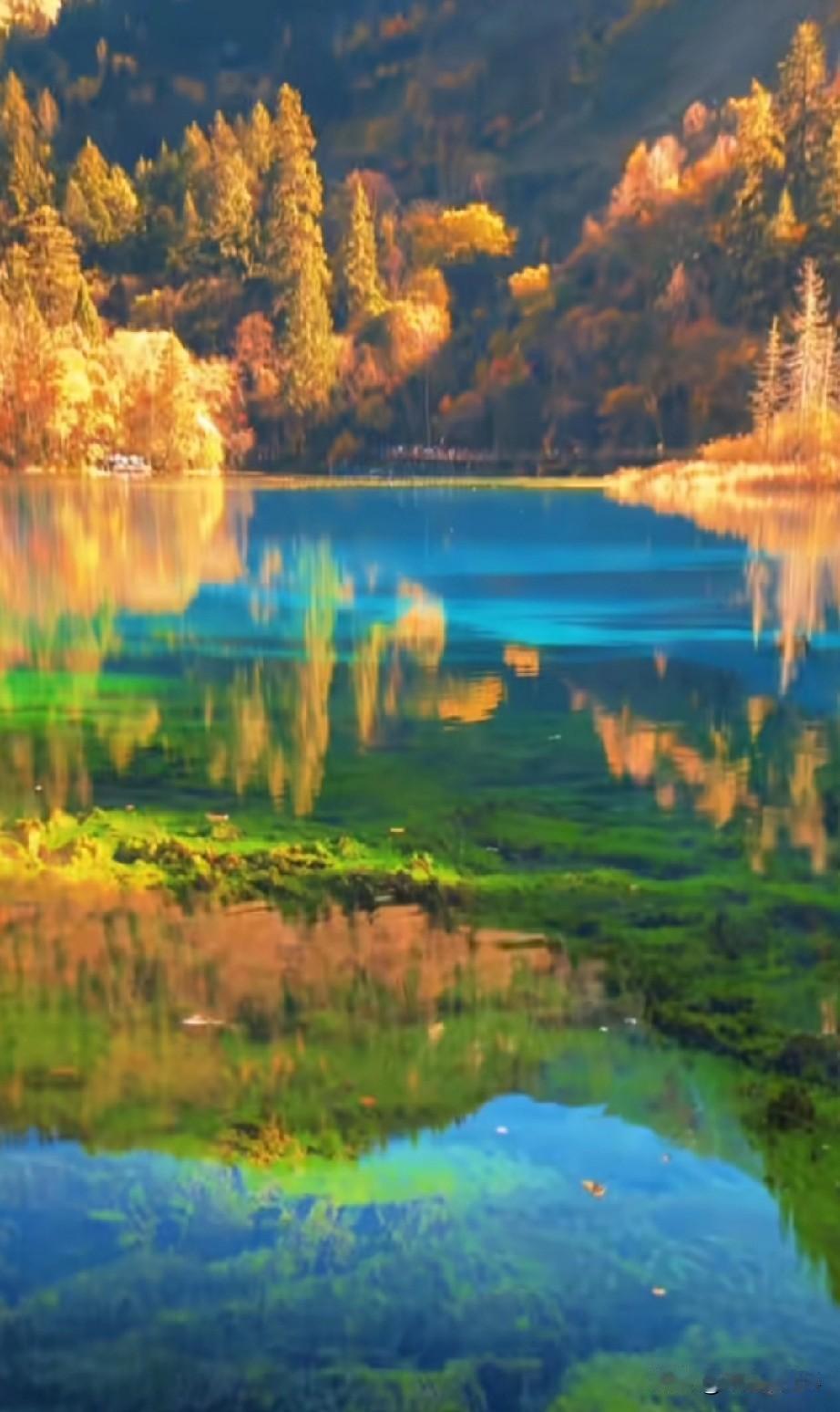 胃癌化疗导致的神经麻木因降温变得更明显！！！！
         这几天气温突降