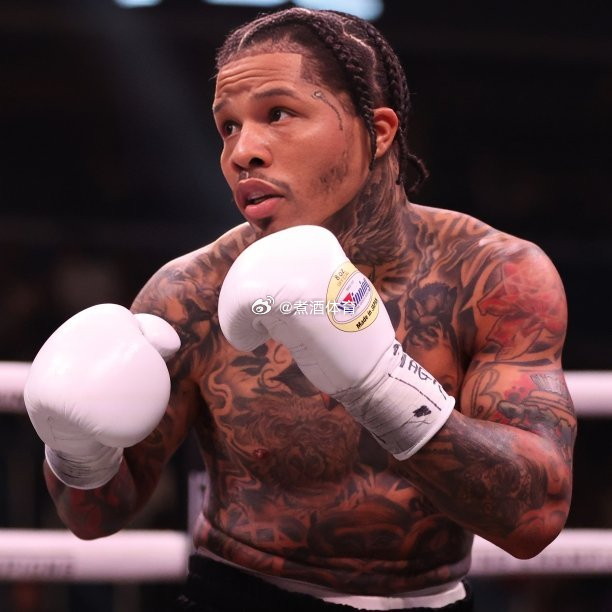 拳坛速递 WBA已将杰尔冯塔-戴维斯（Gervonta Davis）指定为轻量级