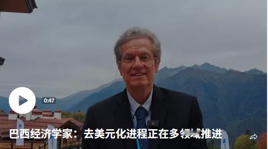 巴西经济学家：去美元化进程正在多领域推进

巴西经济学家、金砖国家新开发银行前副
