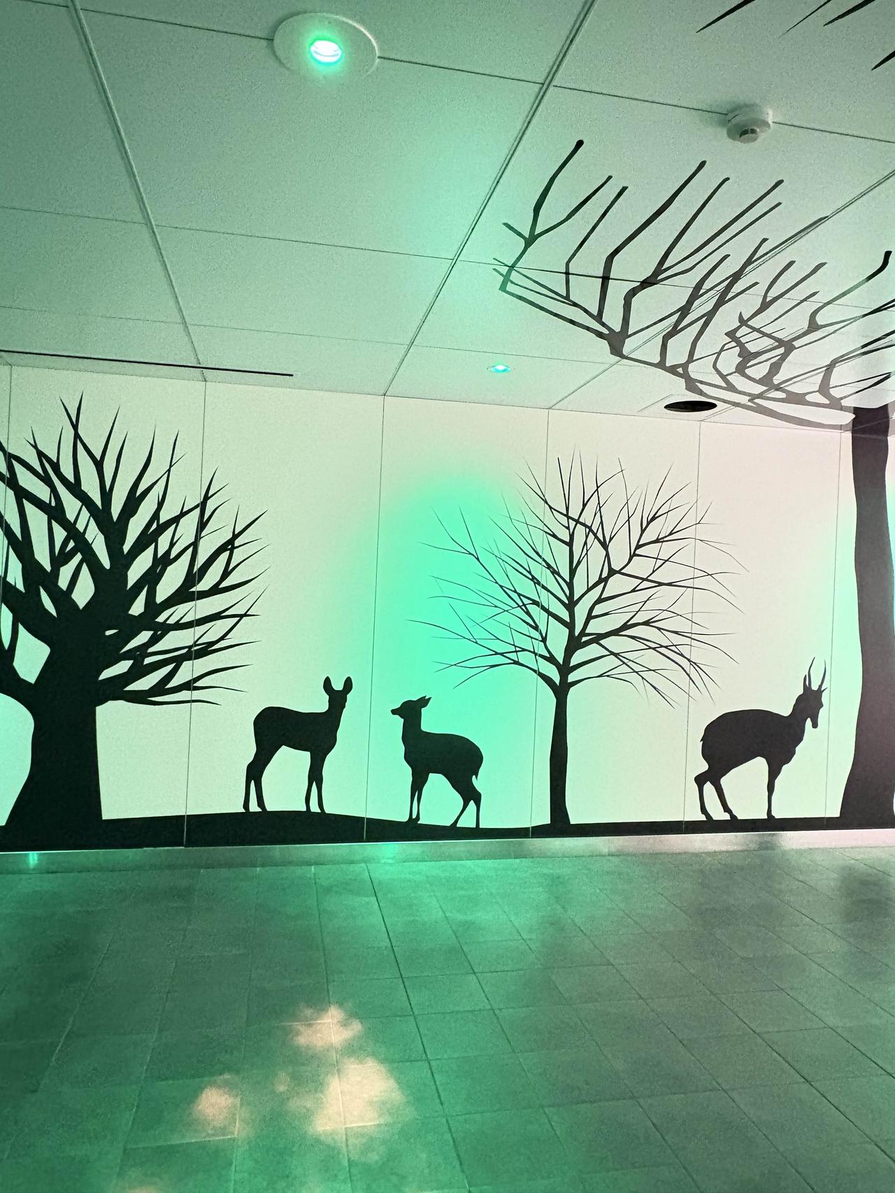 分享一下你随手拍下的照片模拟大自然的壁画，别出心裁的地下街的风情。