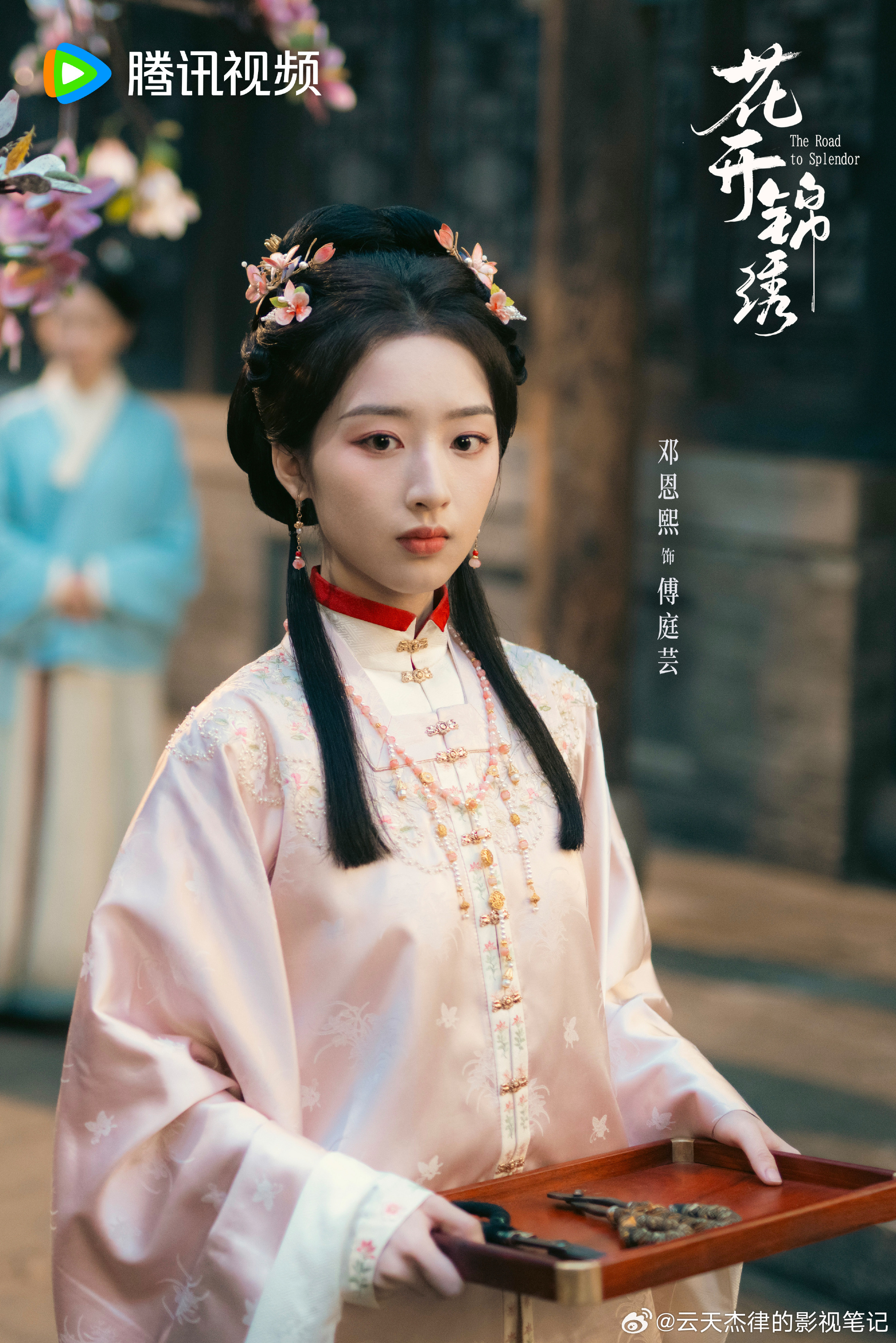 古装新剧《花开锦绣》还不错主演有温峥嵘，丁禹兮等，我是很喜欢温峥嵘演戏的感觉，棒
