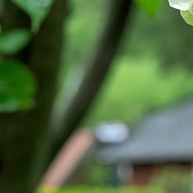 0000困难只是暂时的，坚持才是长久的。哪怕每天只进步一点点，日积月累也会拉开差