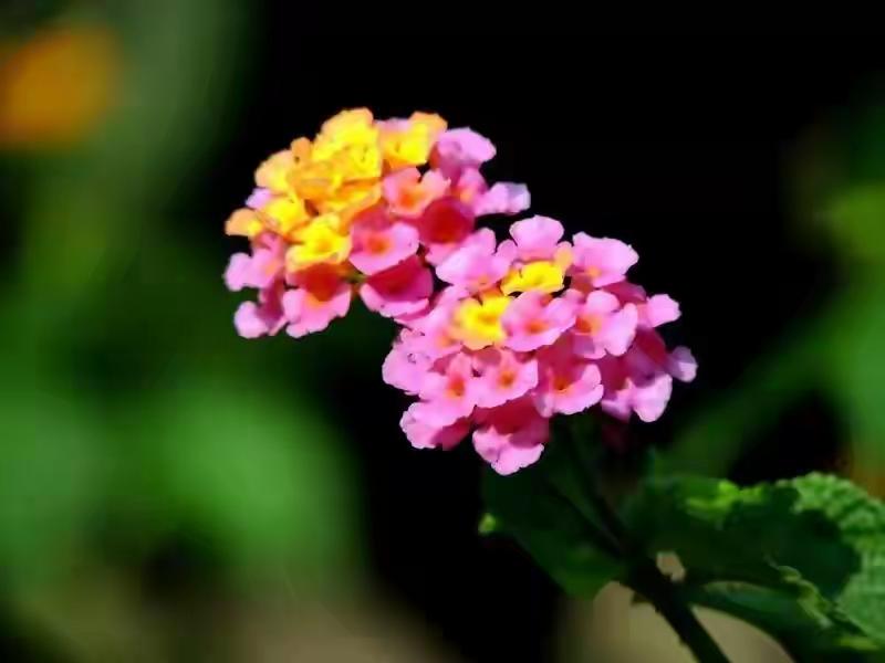 快乐不是等来的，是“设计”出来的！学会这5个心法，每天多出3小时好心情
刚刷到一