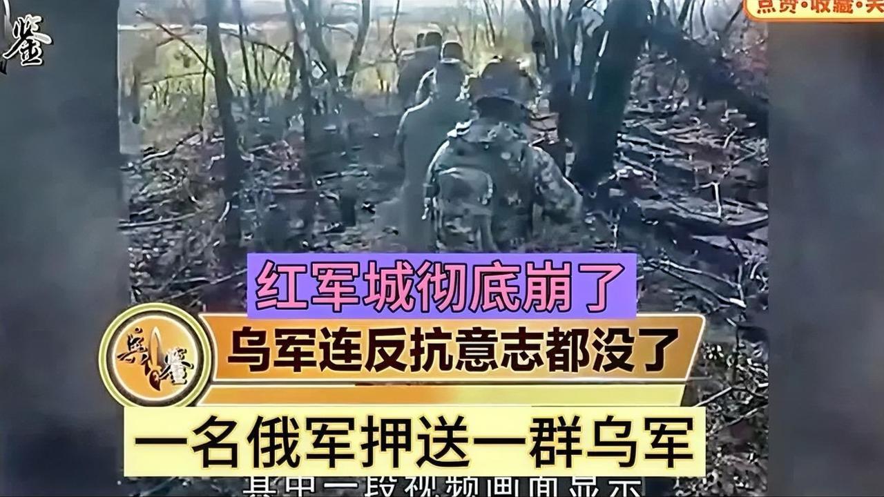 红军城彻底崩了，乌军连反抗意志都没了！一名俄军押送一群乌军。