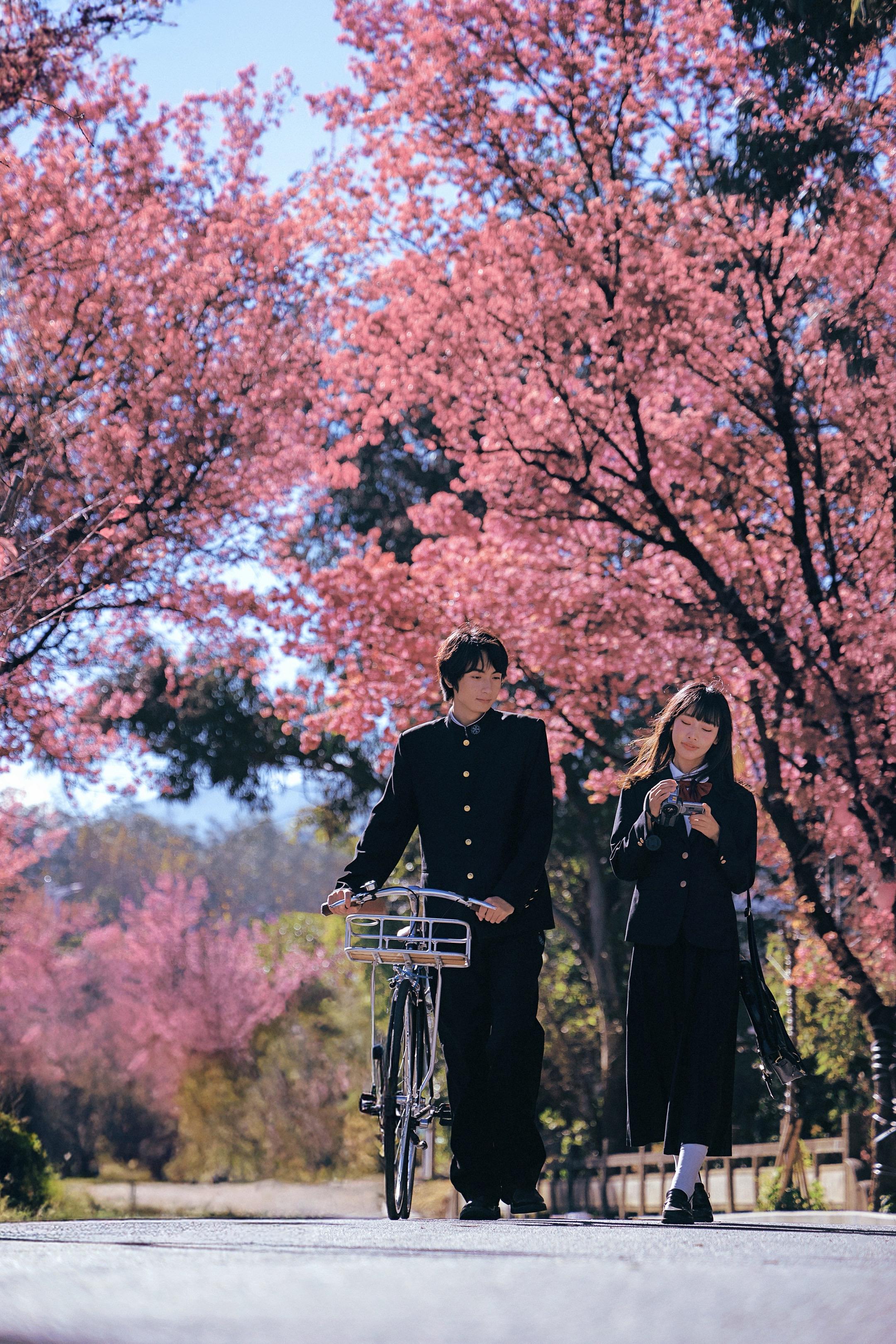 樱花为誓，春风为证。