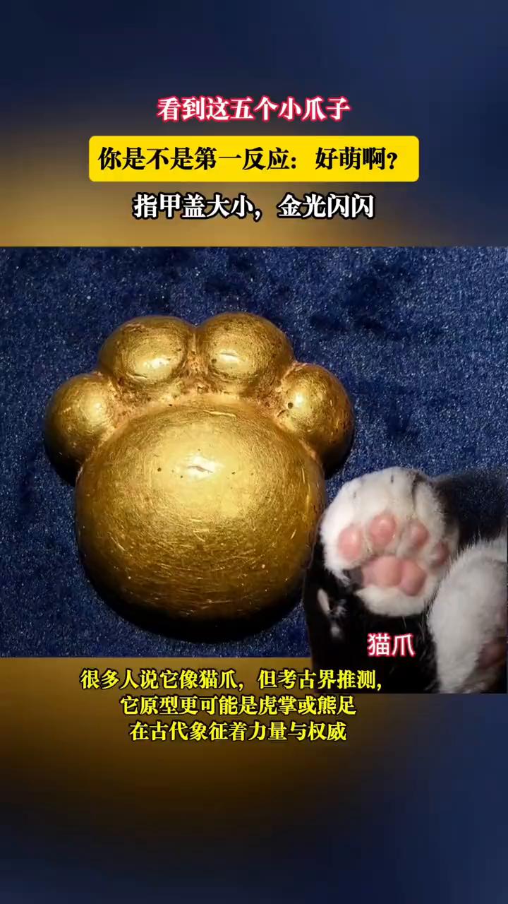 看到这五个小爪子，你是不是第一反应：好萌啊？
·猫爪：很多人说它像猫爪，但考古界