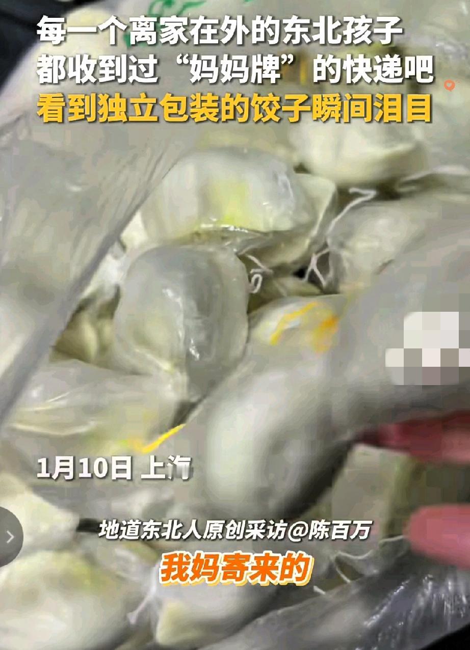 东北妈妈的爱，都藏在一个个独立包装的饺子里！

上海的东北姑娘收到妈妈寄来的快递