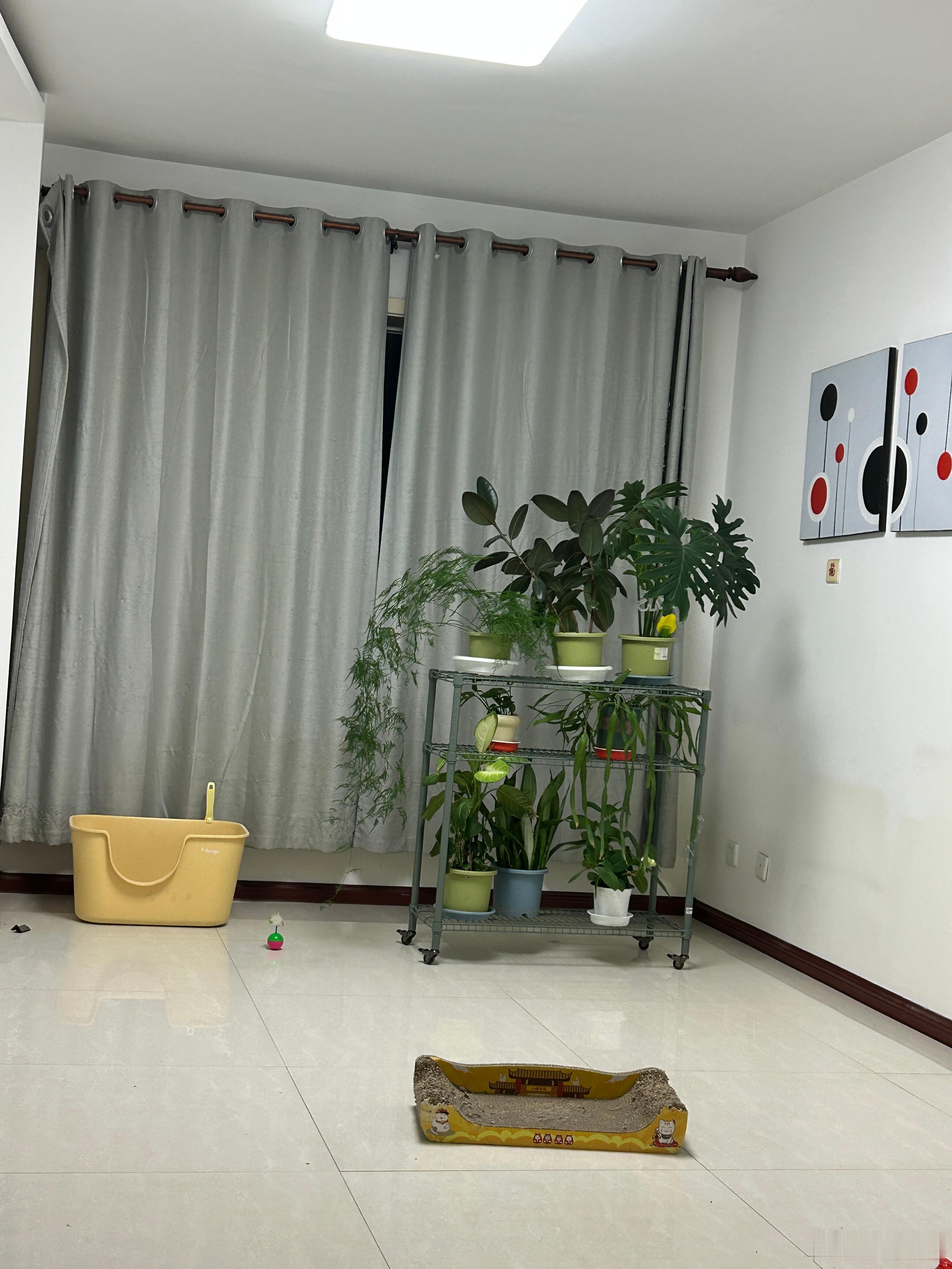 其实也可以不要沙发，显得更宽敞，好空啊，说话都有回音