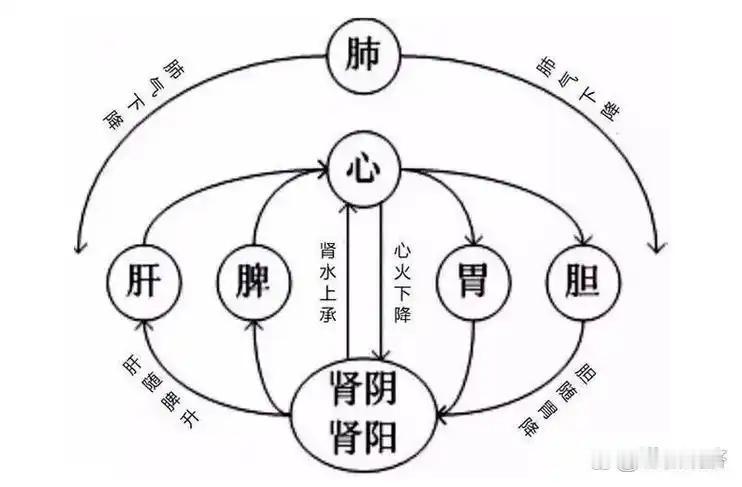 【彭子益】
清末民初著名白族医学家，中医圆运动学说的创立者‌，被誉为“中医复兴之
