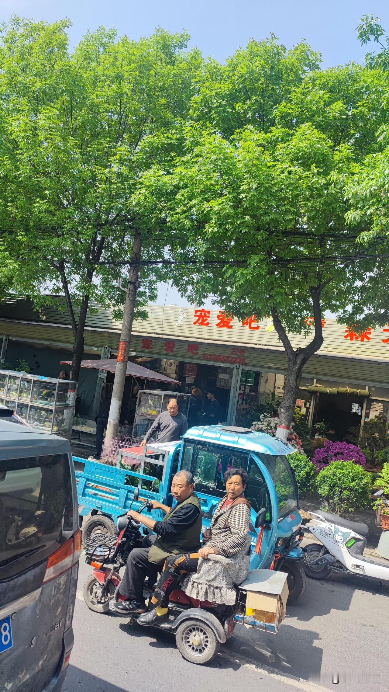 记录我的2026春天是养花种草的季节，今天经过开封东郊的花卉市场，看到街道两旁的