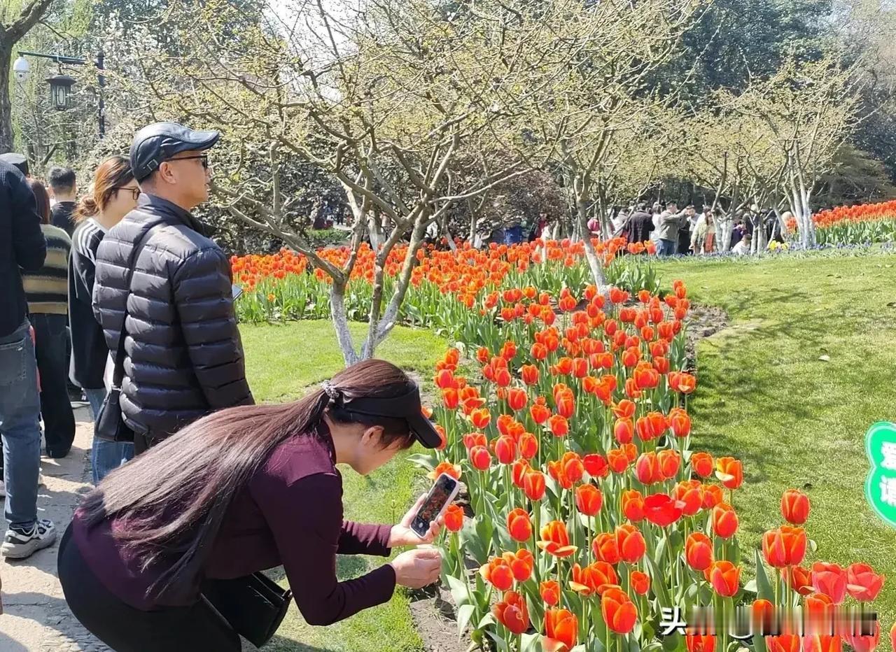 60岁的老人该给80岁的老人让座吗？

今天先乘地铁去杭州市第一人民医院，中饭后