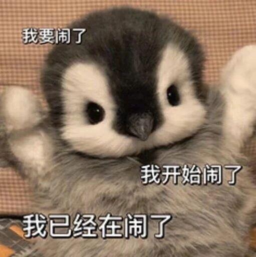 可爱的小企鹅表情包 