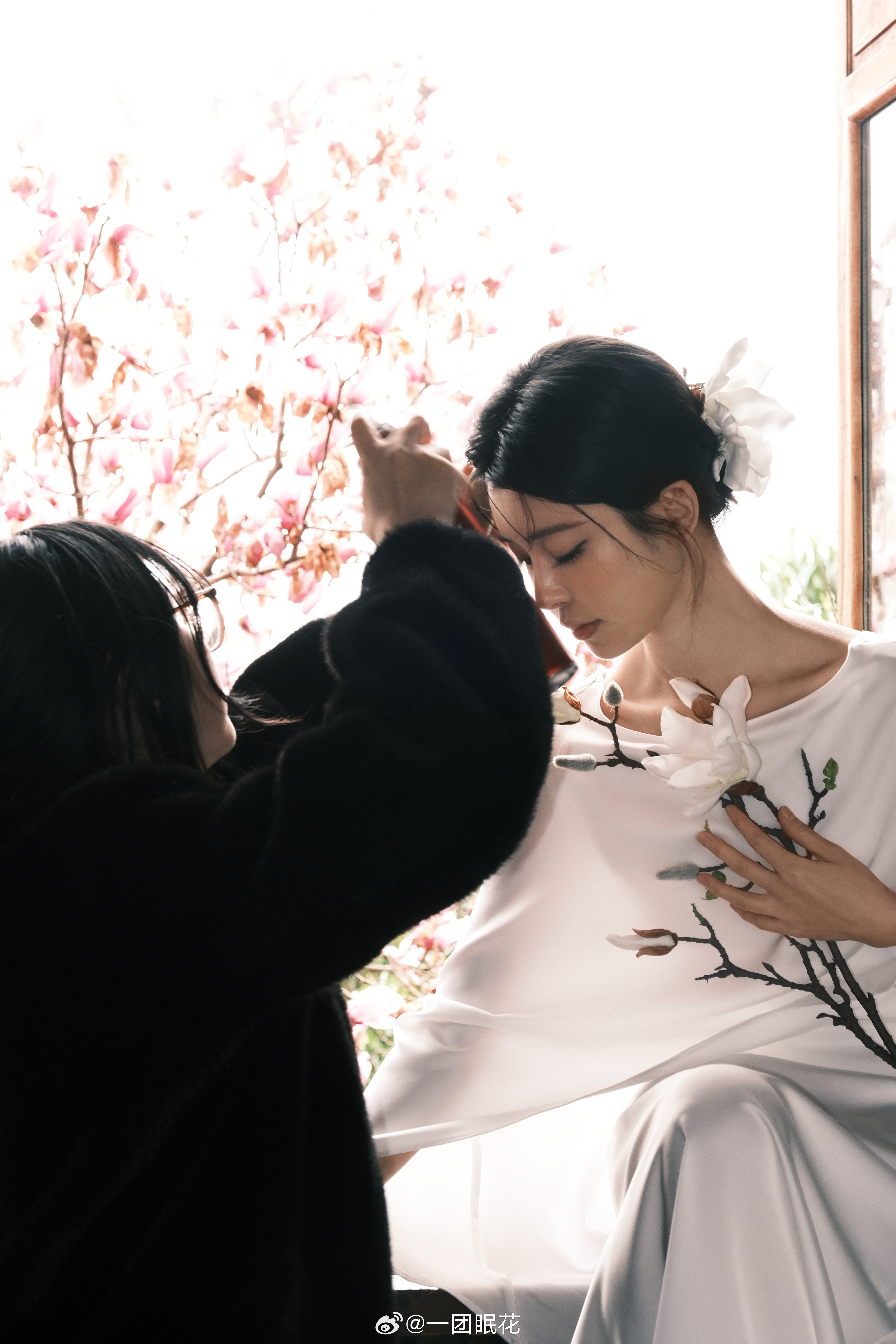 ₊˚⊹.* 玉兰花开₊⊹.*♡ ˚₊ 