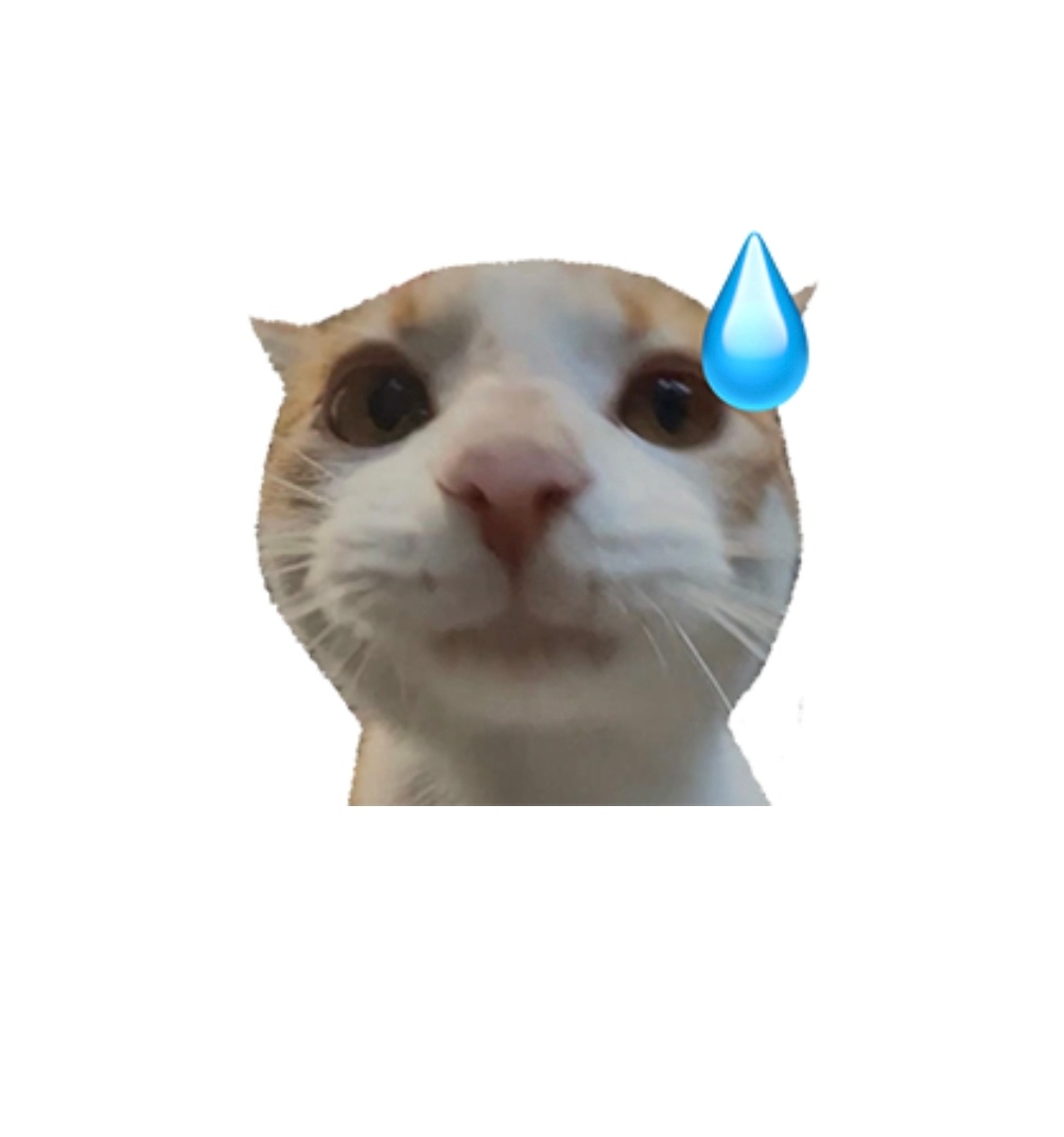 有时候我真的不懂为什么好好迎面走过来的情侣非要在走到我面前的时候突然开始接吻