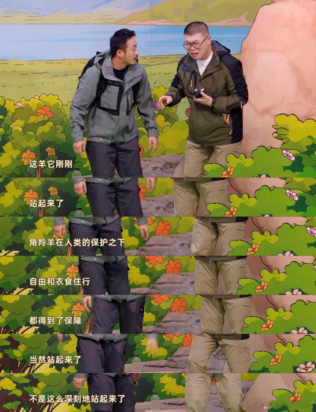 八仙子喜人奇妙夜 《羊来咯》是喜剧版喜羊羊吧！在草原上遇见真的喜羊羊了，他不止会