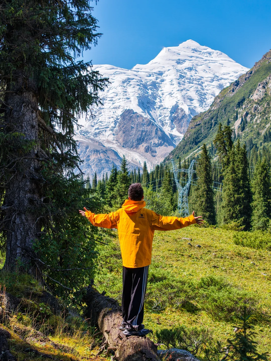 伊犁放牛的时候发现了比夏塔更美的雪山